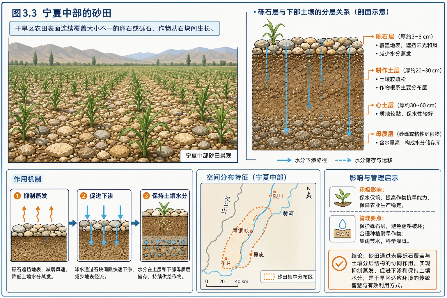 宁夏砂田剖面与保水机制图