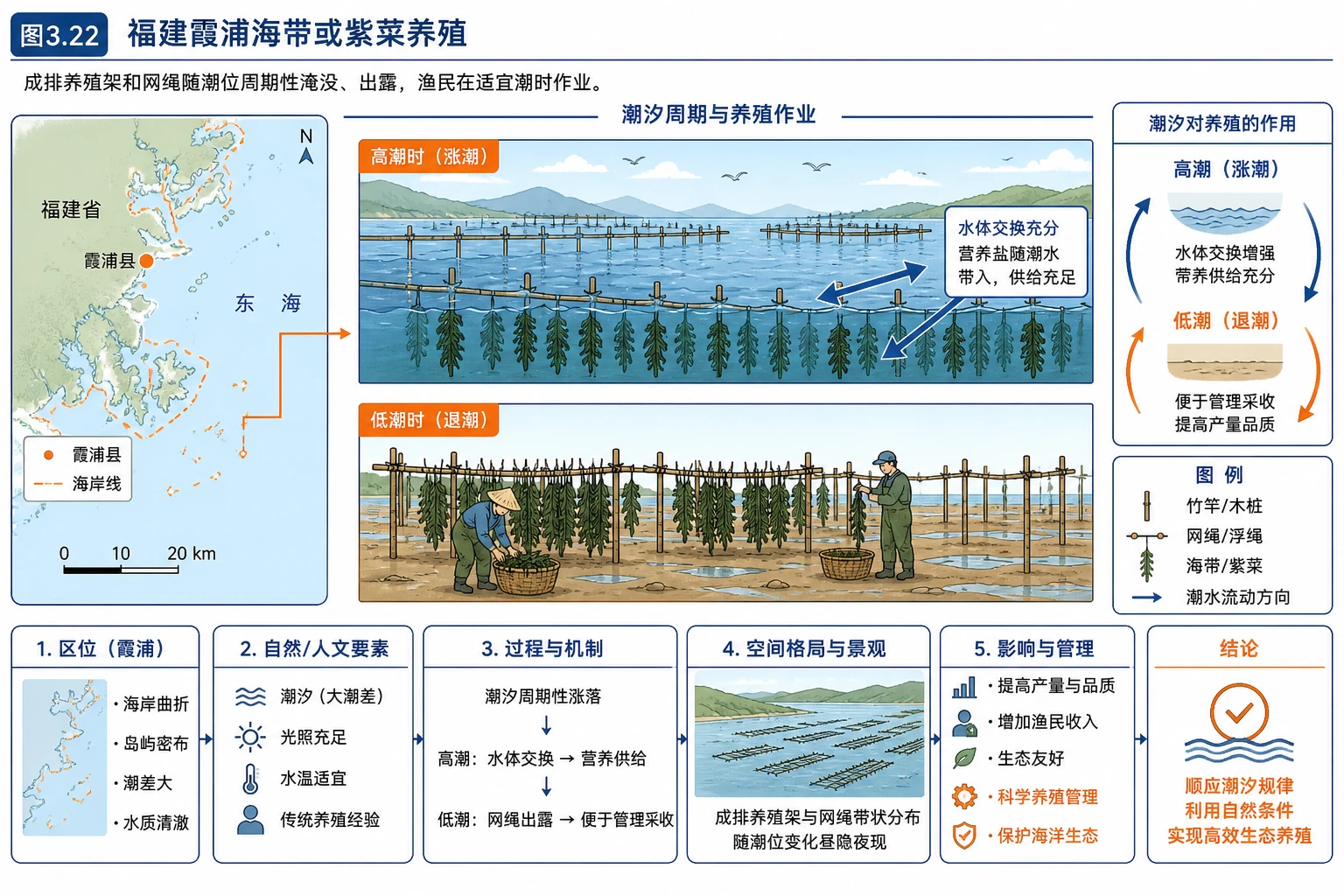 霞浦海带紫菜养殖与潮汐图