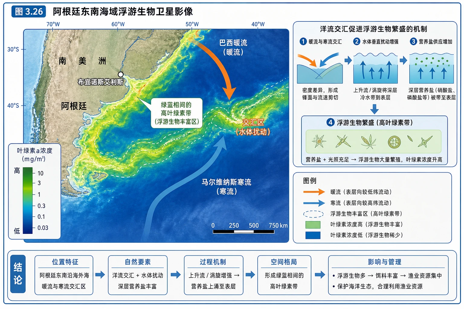 洋流交汇与浮游生物图