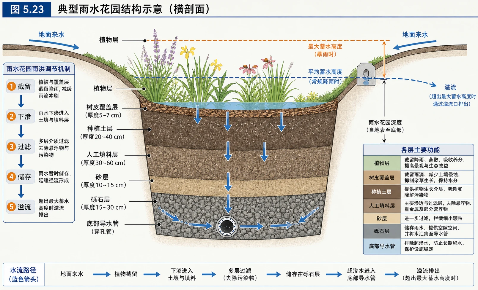 典型雨水花园分层结构与水流路径