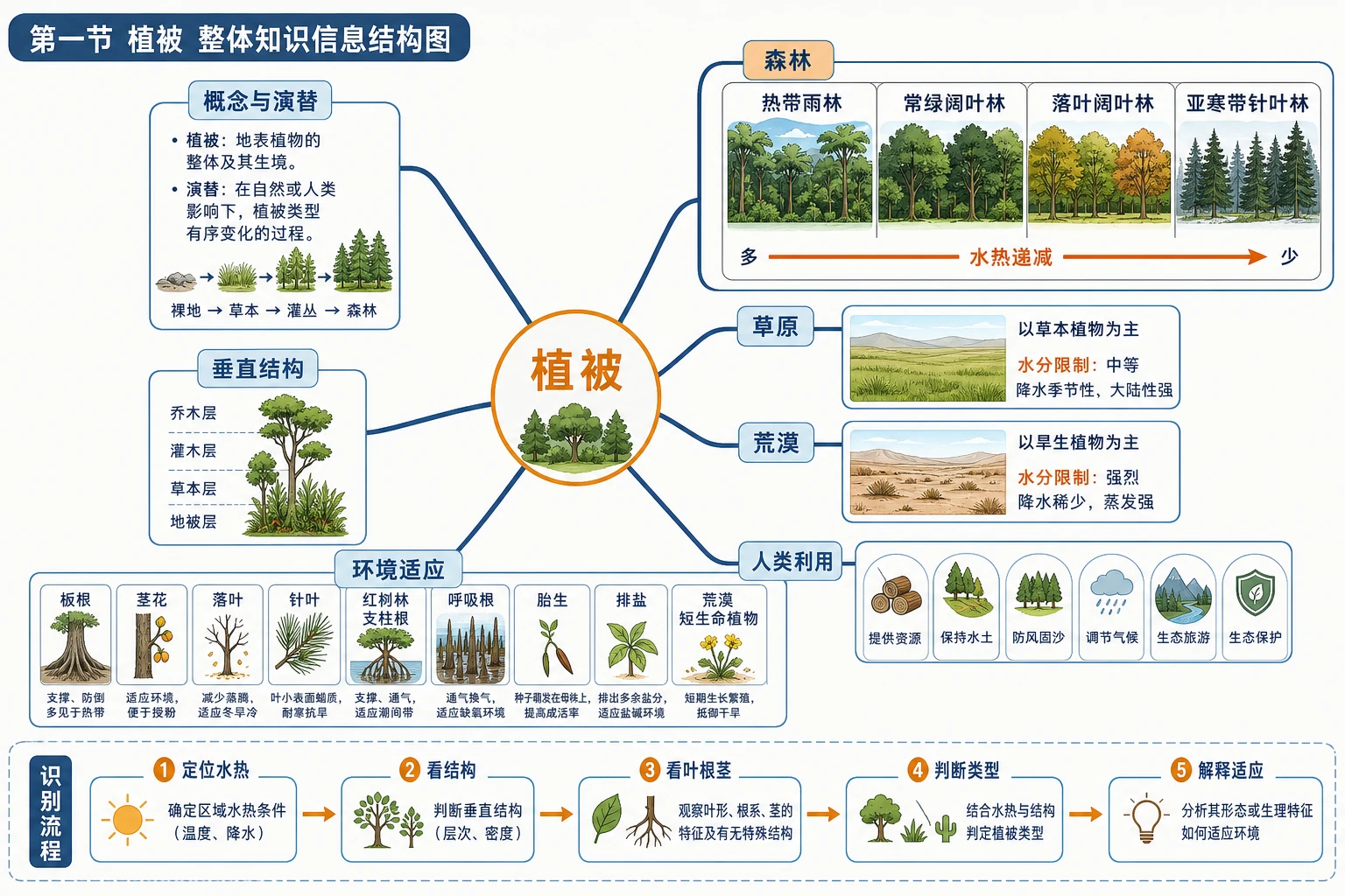 第一节植被知识结构图