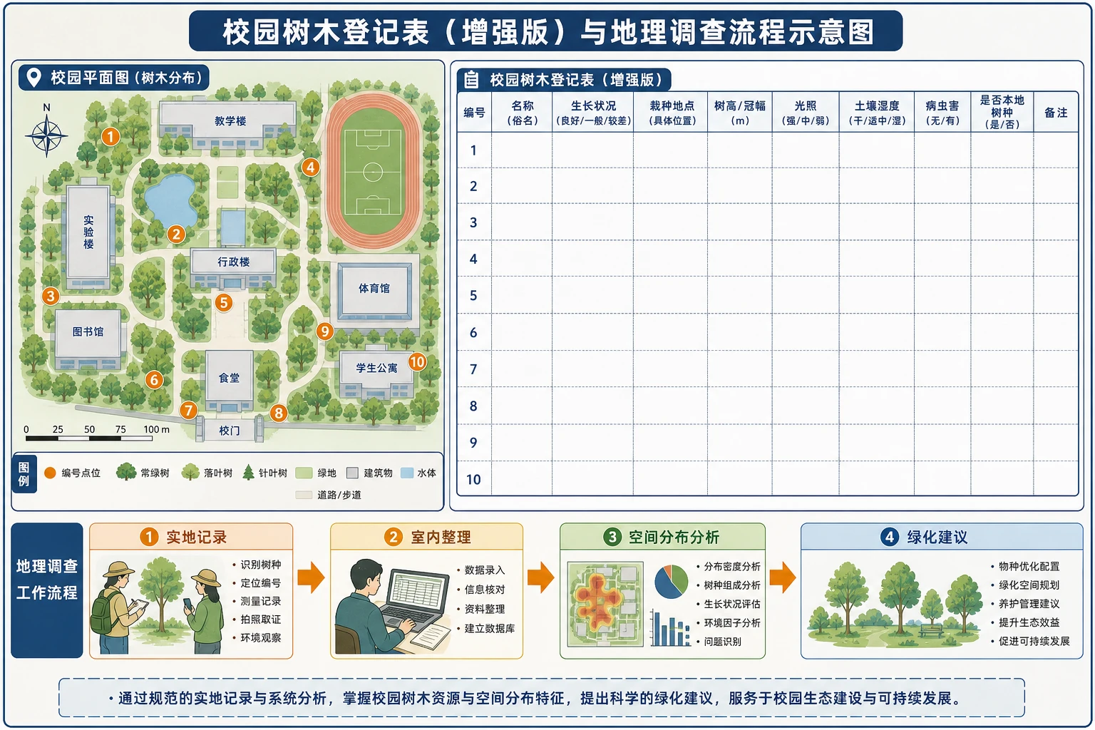 校园树木登记与地理调查流程