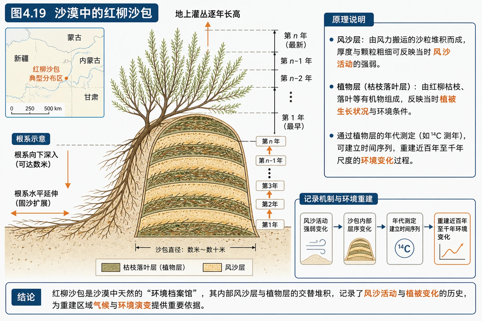 红柳沙包环境记录剖面图