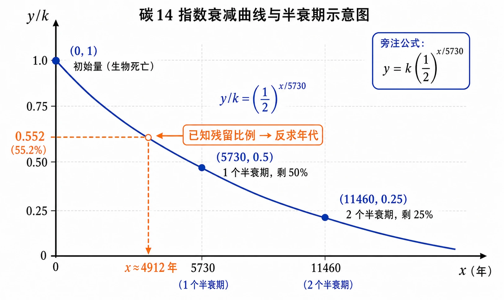 碳14 半衰期模型