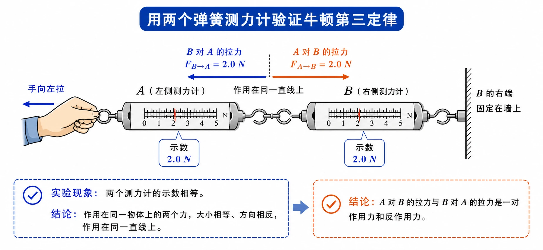 两个弹簧测力计验证牛顿第三定律