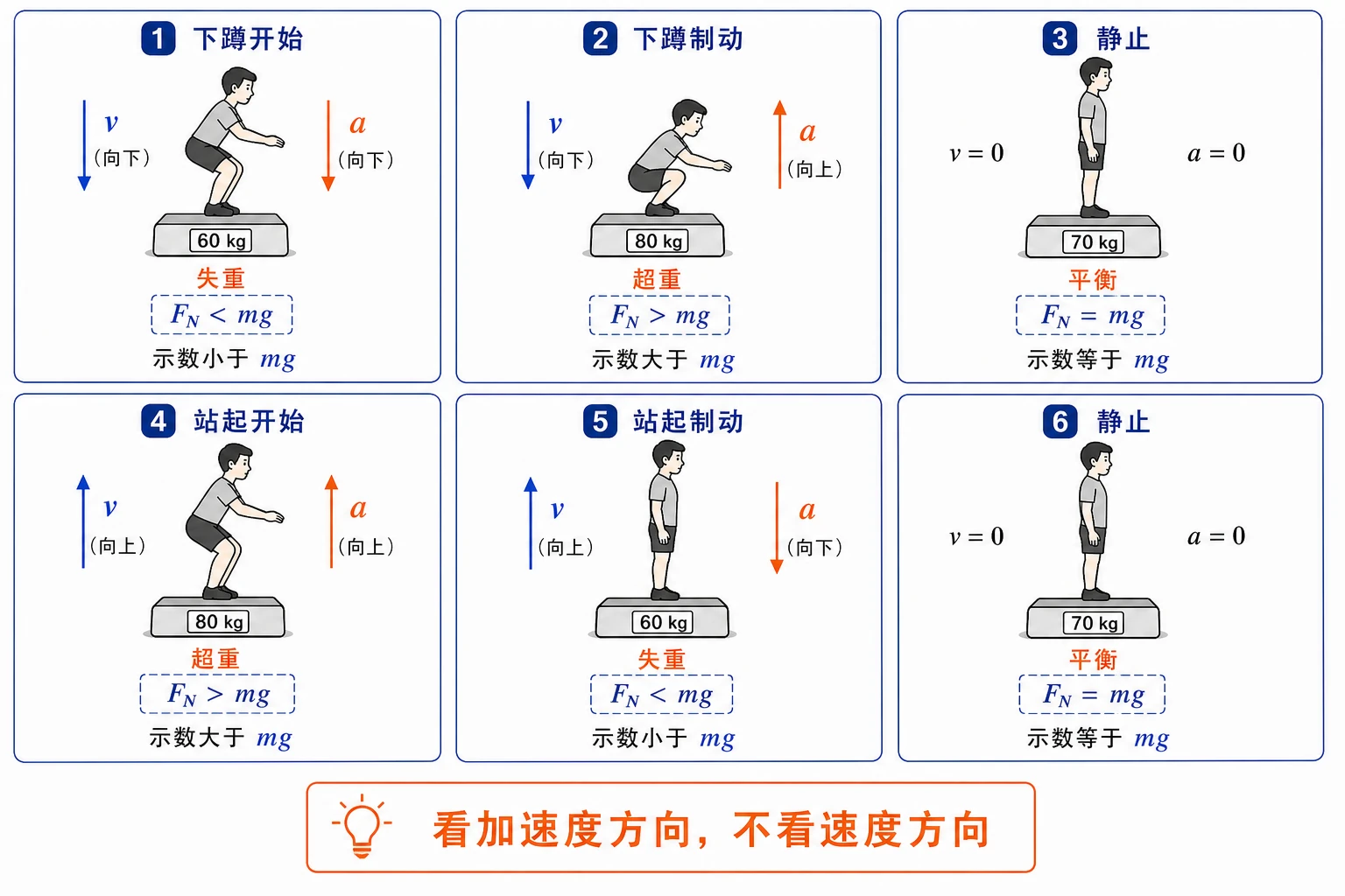 下蹲和站起过程中的超重失重判断
