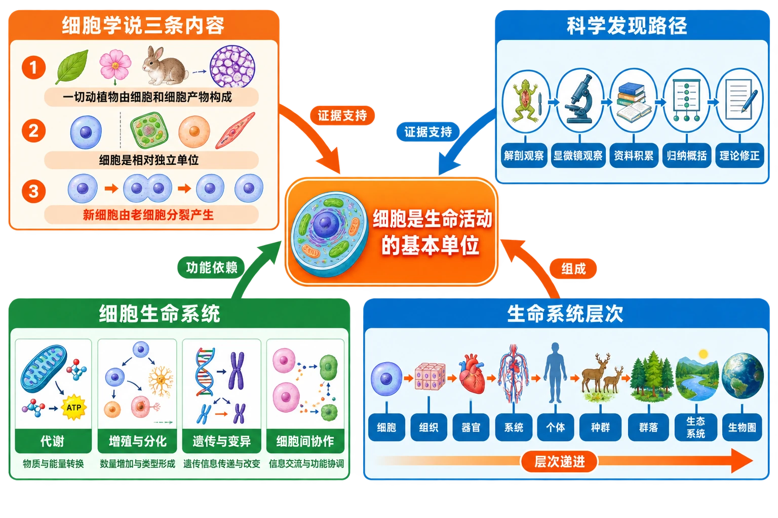 本节知识结构图
