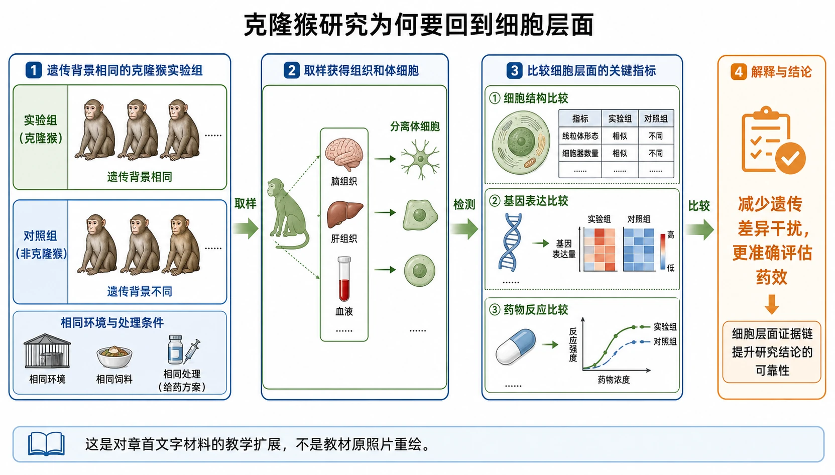 图03:“克隆猴研究为何要回到细胞层面”