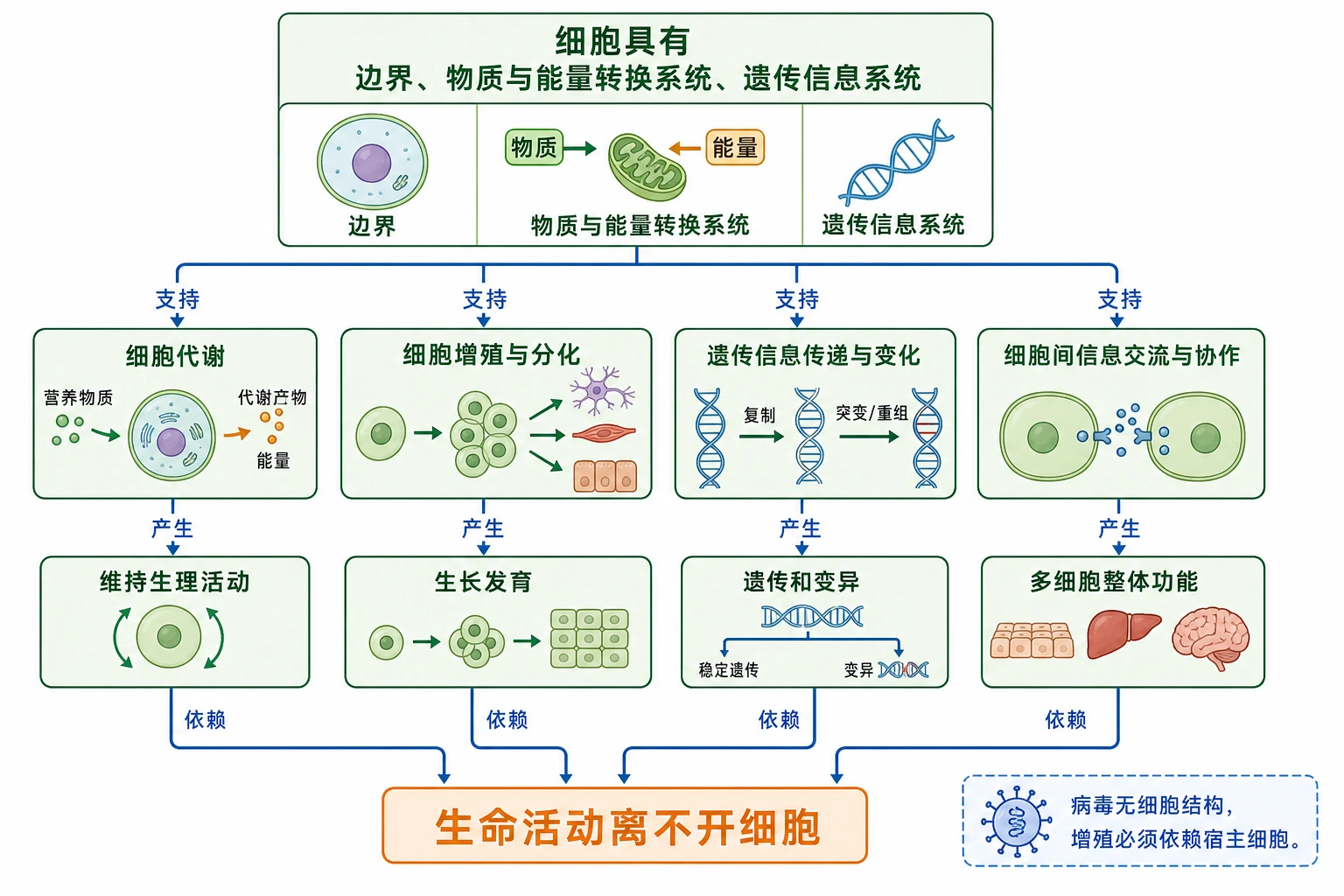 图06:补充知识图(非教材原图)——“细胞为什么是基本生命系统”