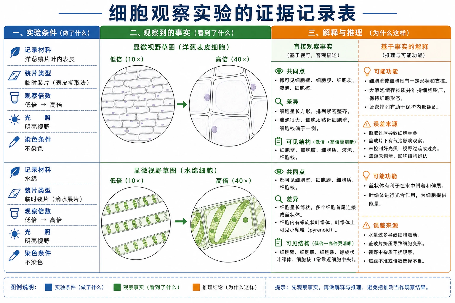 图09：补充知识图（非教材原图）——“细胞观察实验的证据记录表”