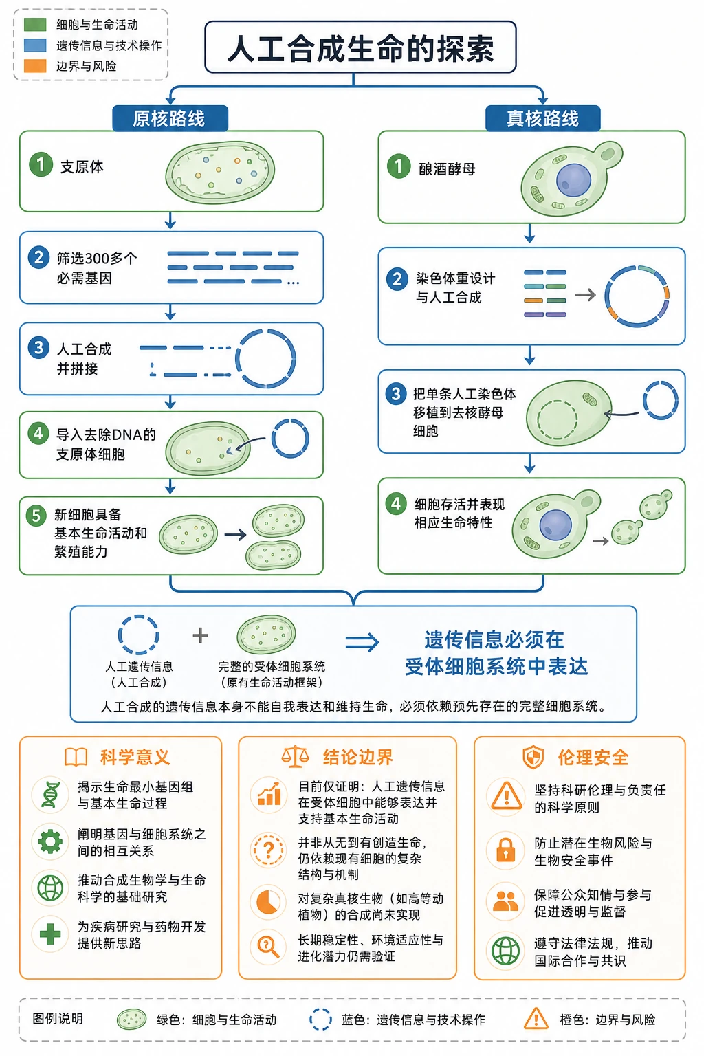 图01:补充知识图(非教材原图)——本栏目整体知识信息结构图