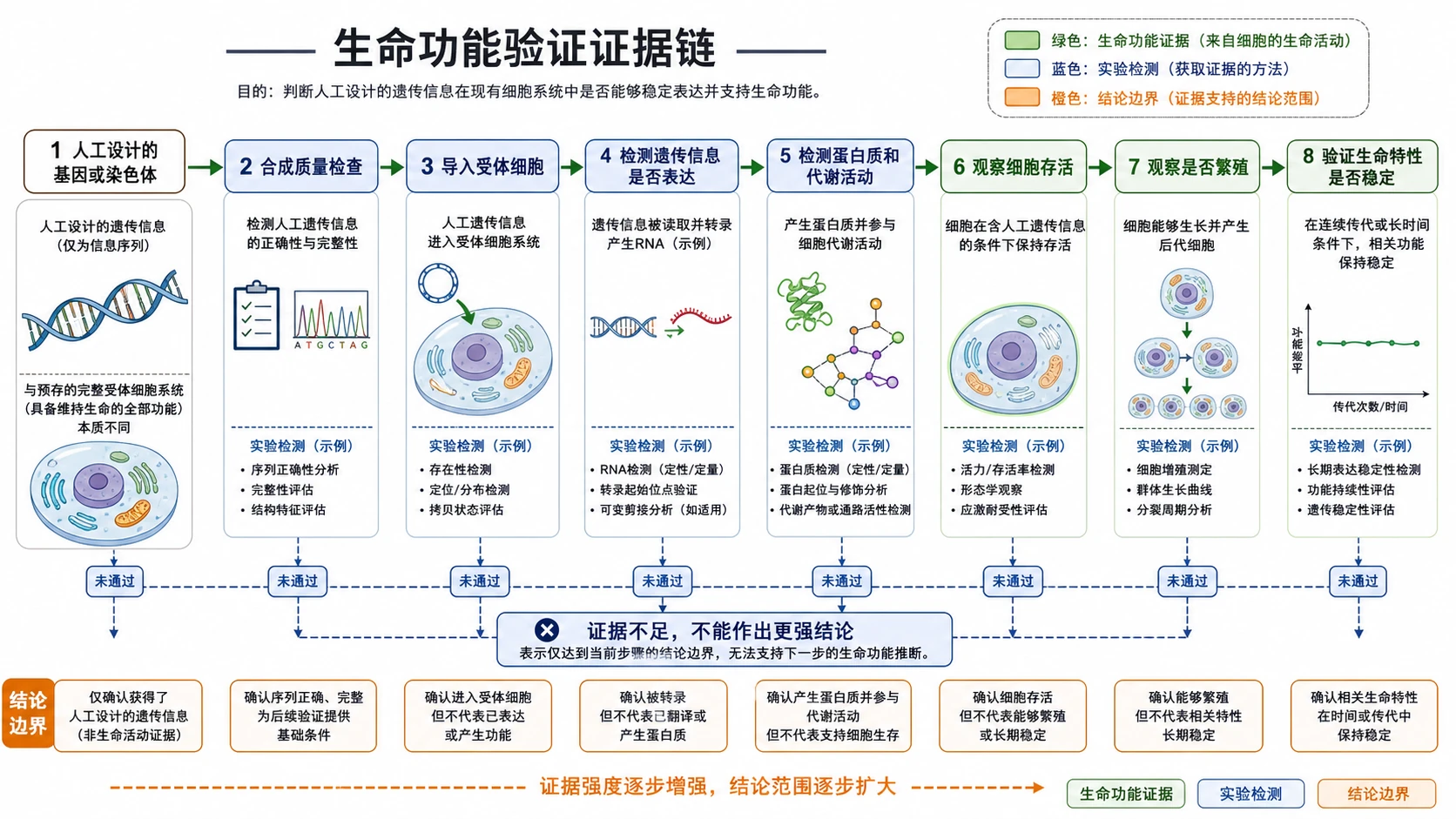 图06:补充知识图(非教材原图)——“生命功能验证证据链”