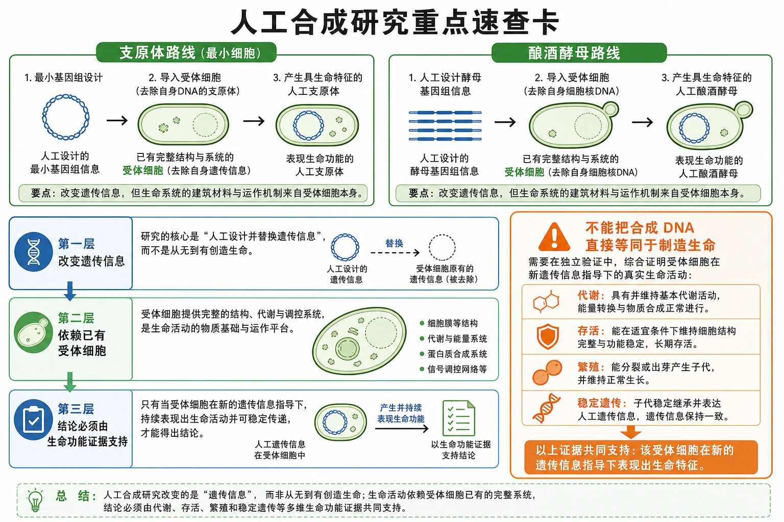 图08:补充知识图(非教材原图)——“人工合成研究重点速查卡”