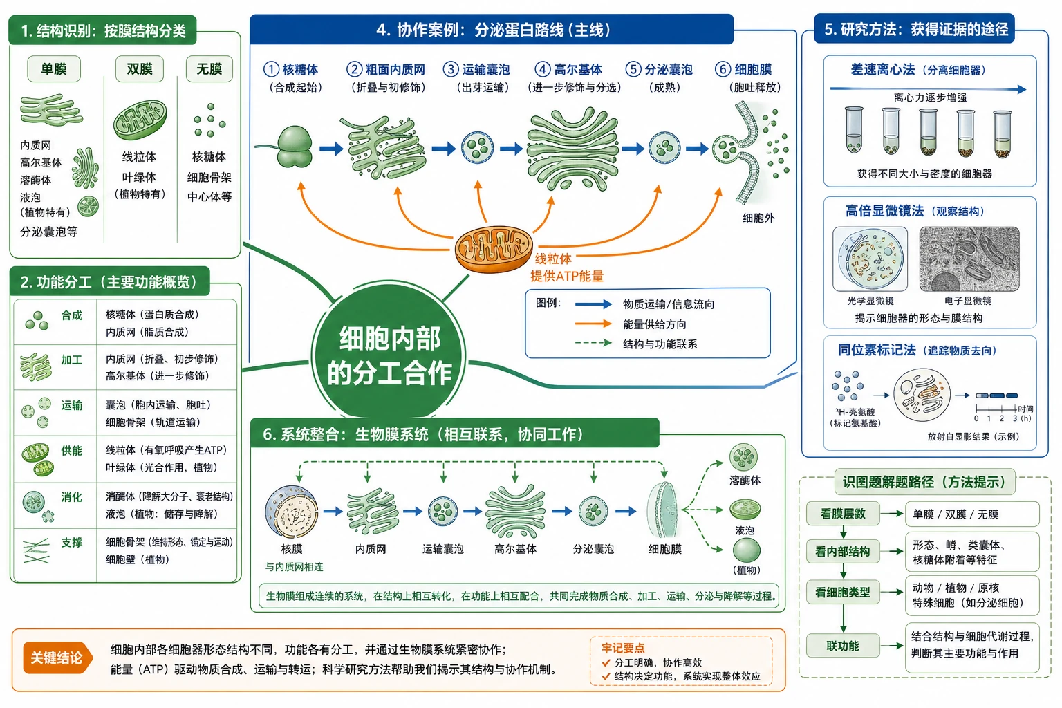 图01:补充知识图(非教材原图)——“本节整体知识信息结构图”