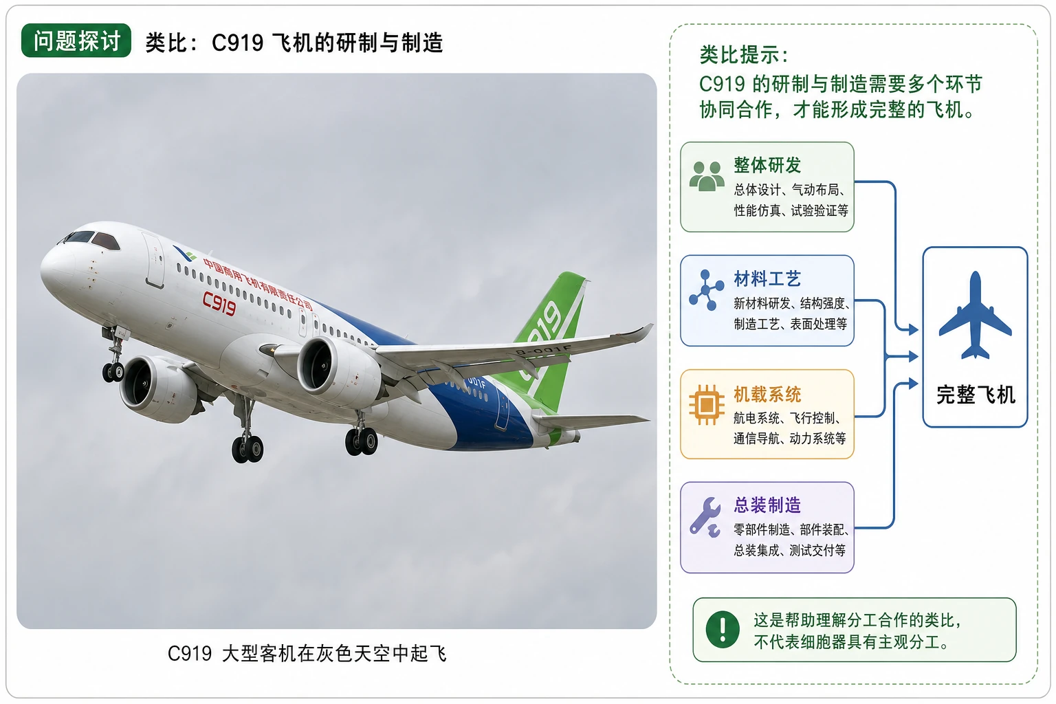 图02:教材“问题探讨”源图重绘——“C919飞机”