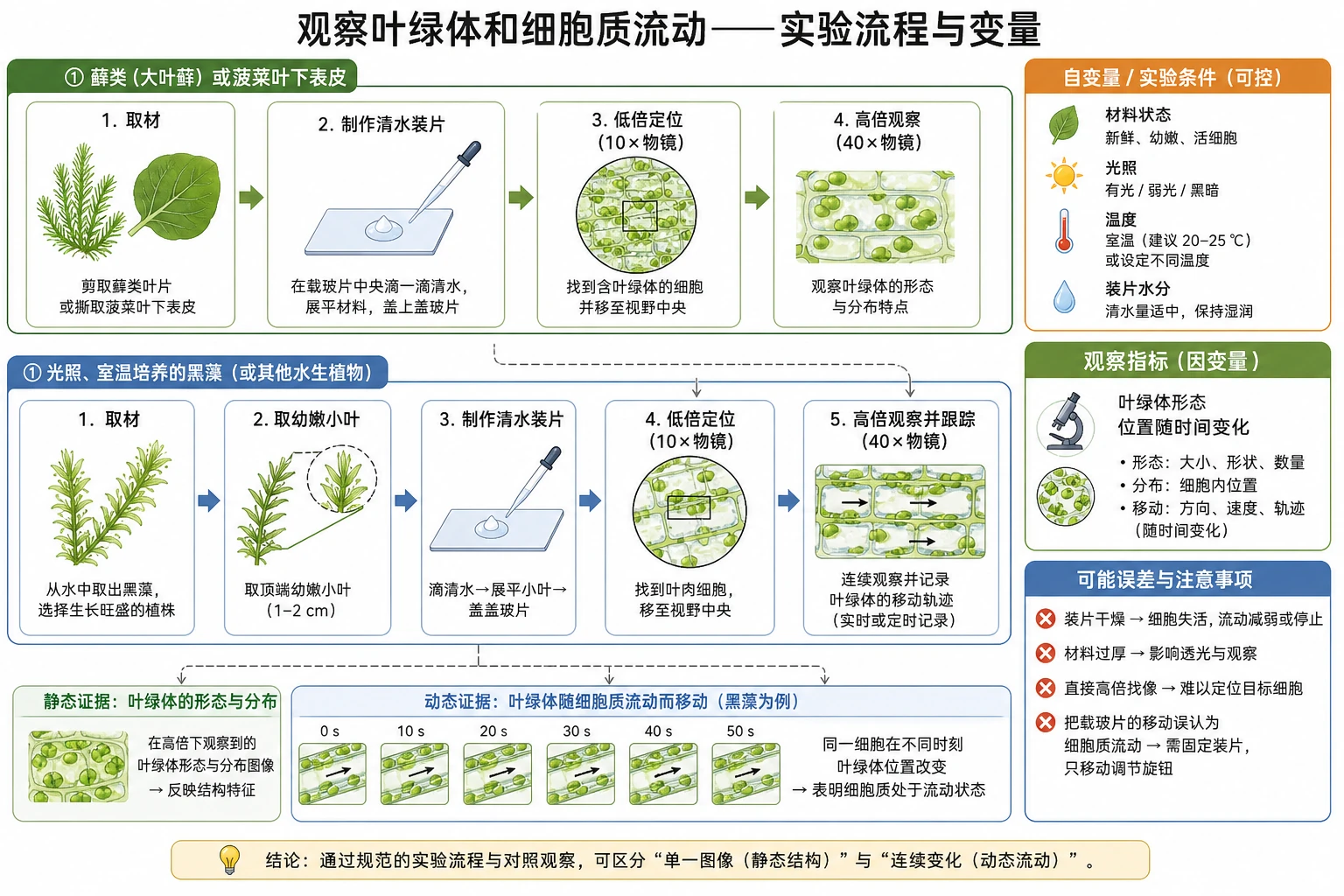 图11:补充知识图(非教材原图)——“观察叶绿体和细胞质流动实验
