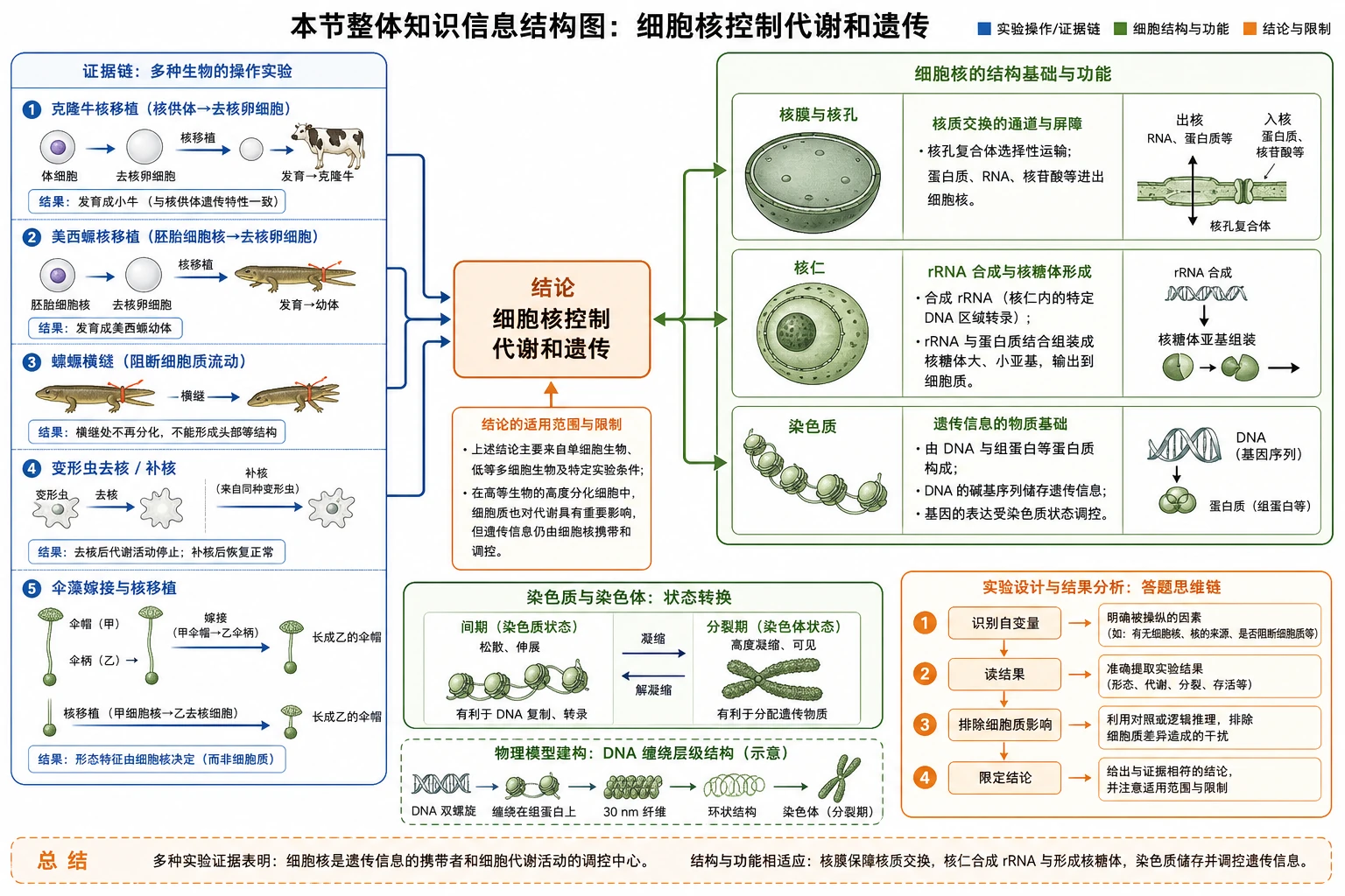 图01:补充知识图(非教材原图)——“本节整体知识信息结构图”