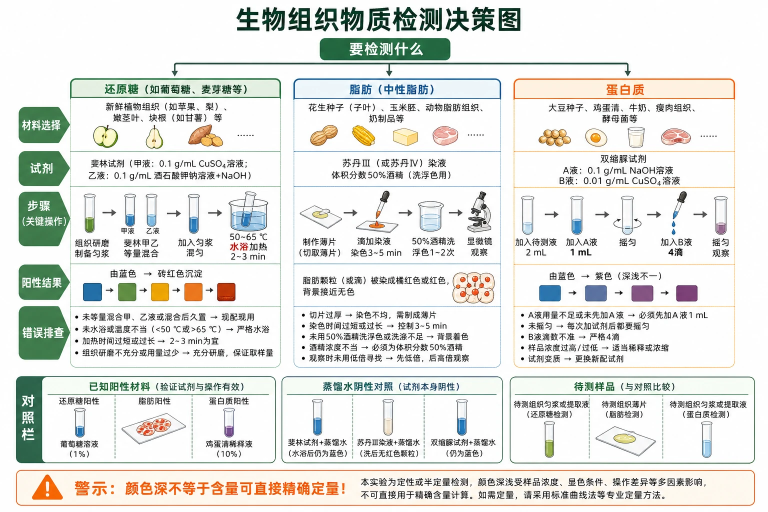 图06:补充知识图(非教材原图)——“生物组织物质检测决策图”