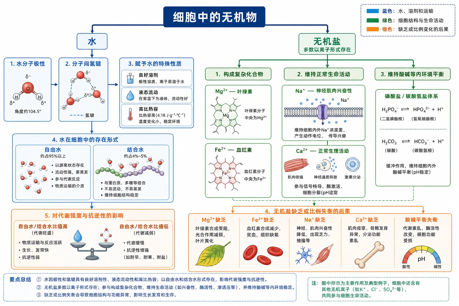 图01：补充知识图（非教材原图）——本节整体知识信息结构图