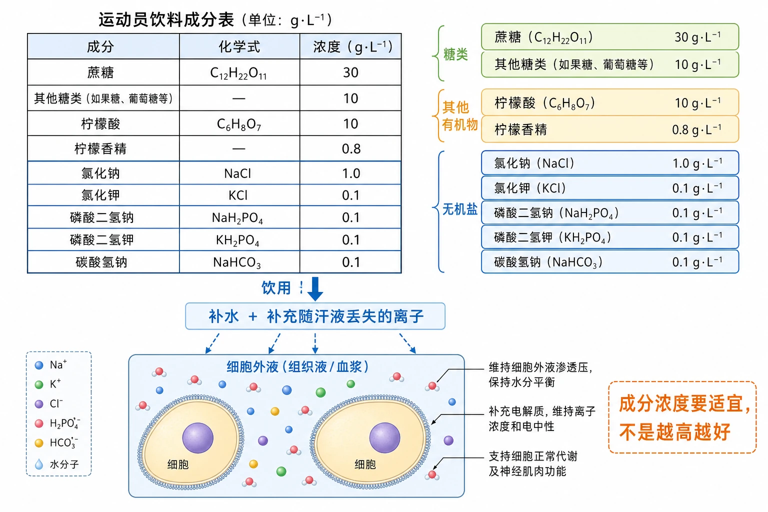 图02：教材“问题探讨”运动员饮料成分表源图重绘