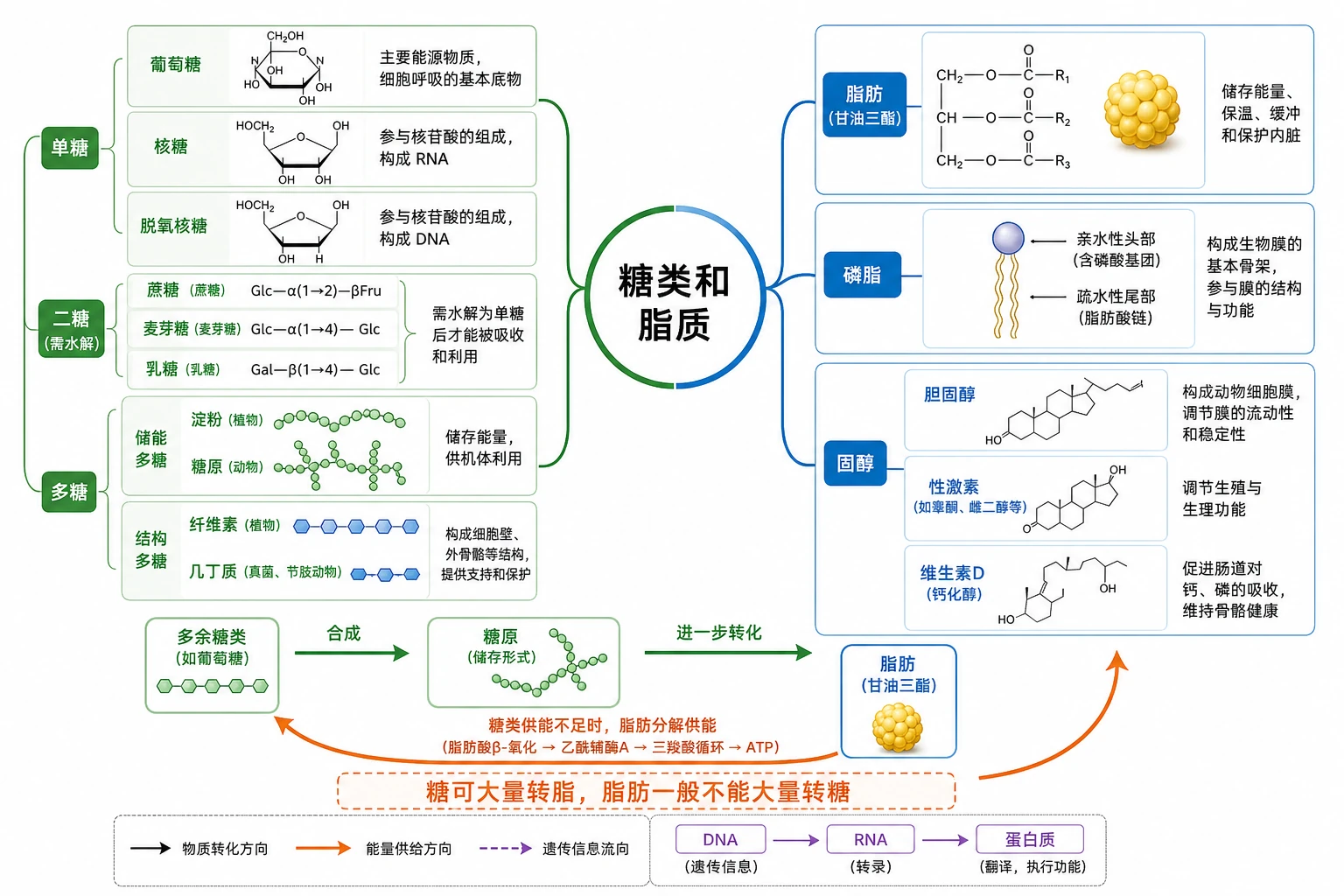 图01:补充知识图(非教材原图)——本节整体知识信息结构图