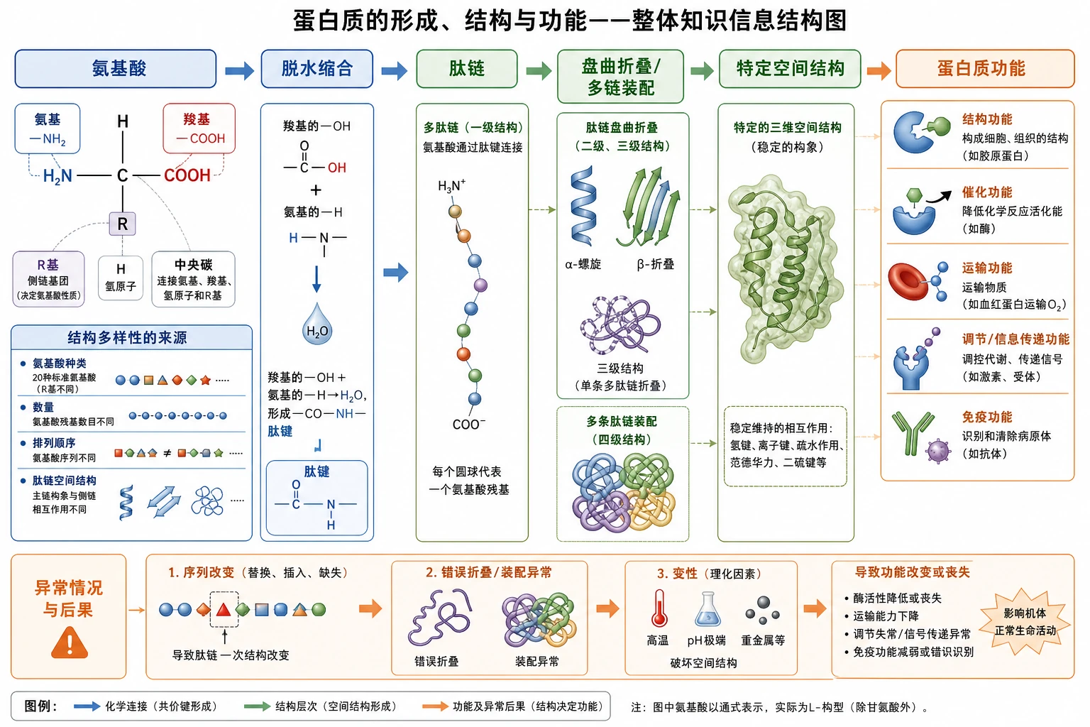 图01:补充知识图(非教材原图)——本节整体知识信息结构图