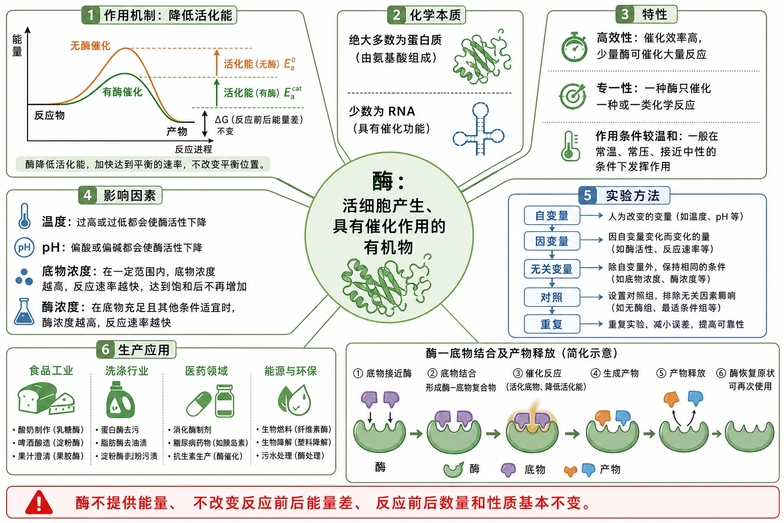 图01:补充知识图(非教材原图)——“酶知识全景图”