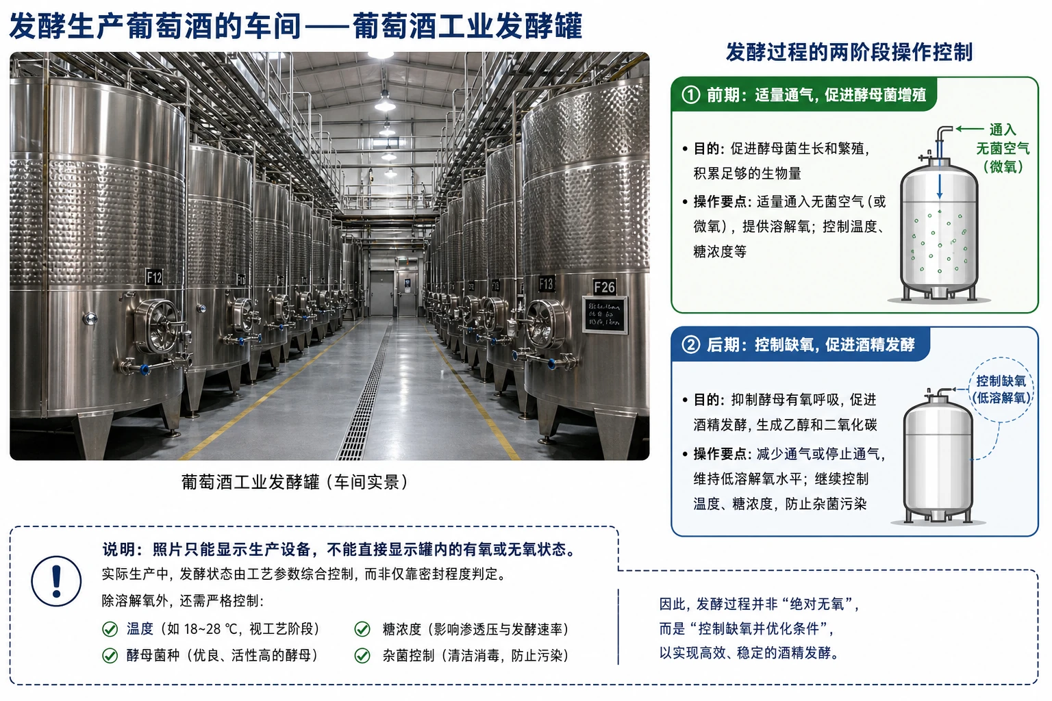 图02:教材“发酵生产葡萄酒的车间”源图重绘——“葡萄酒工业发酵