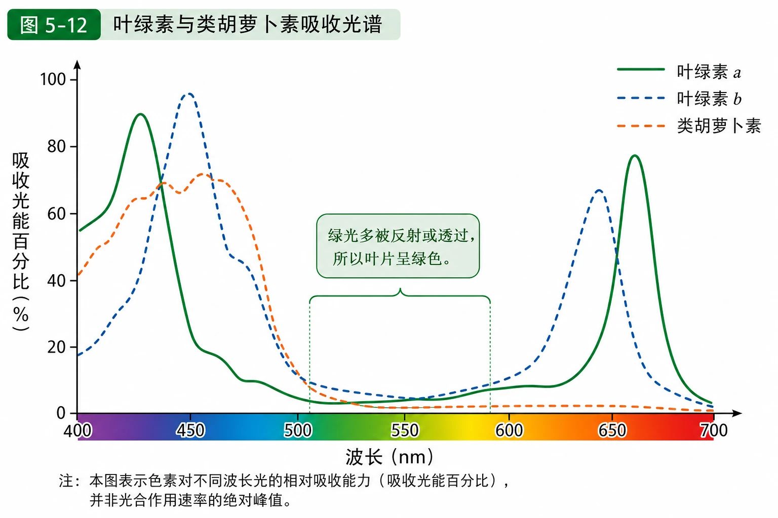 图07:教材图5-12源图重绘——“叶绿素与类胡萝卜素吸收光谱”