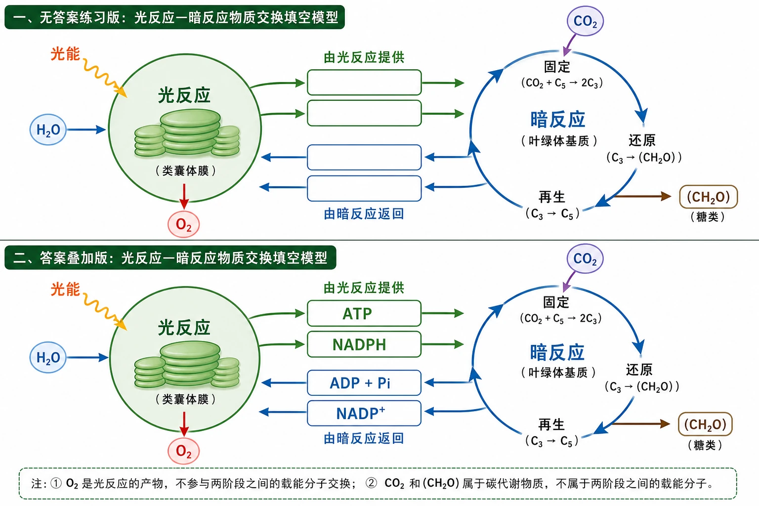 图14:教材概念检测“光合作用基本过程填图”源图重绘——“光反应