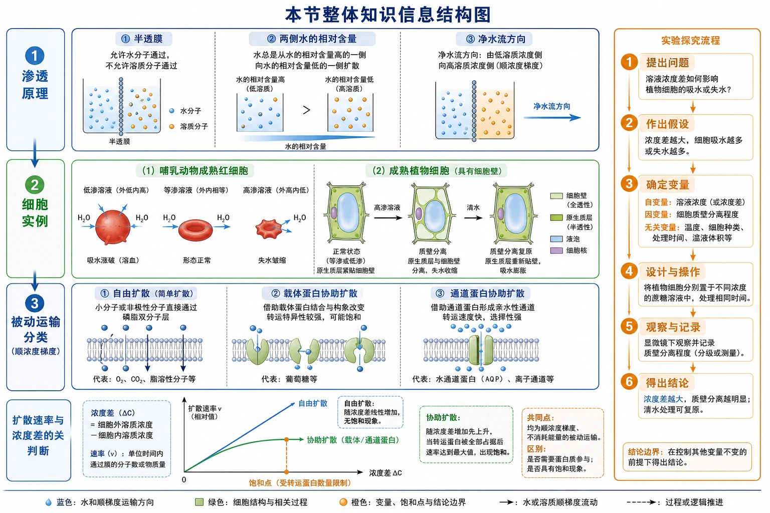 图01：补充知识图（非教材原图）——“本节整体知识信息结构图”