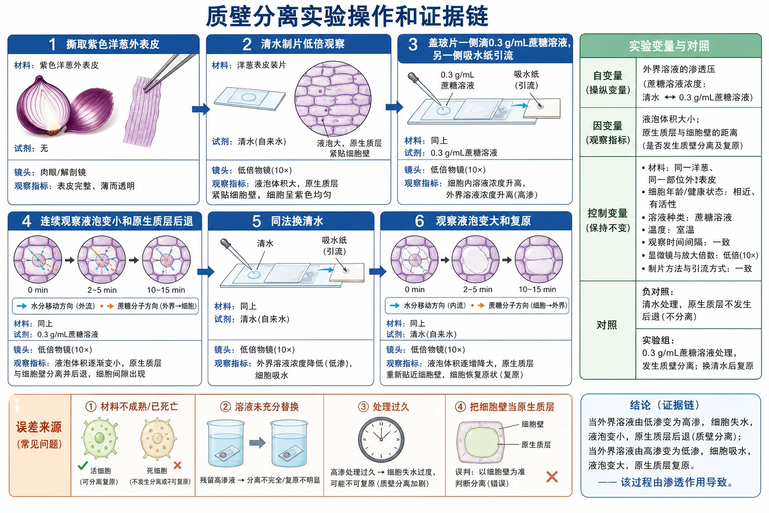 图09：补充知识图（非教材原图）——“质壁分离实验操作和证据链”