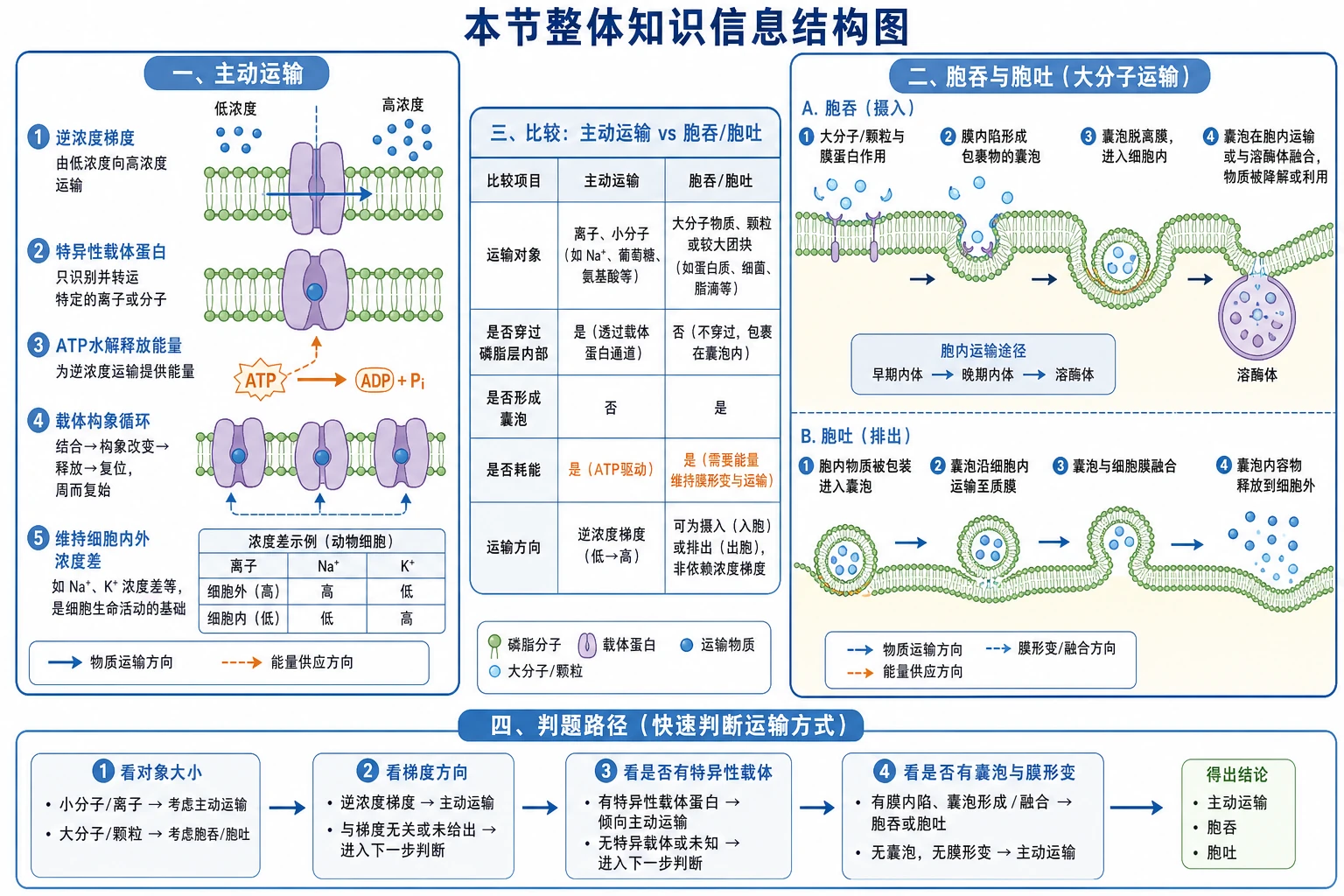图01:补充知识图(非教材原图)——“本节整体知识信息结构图”