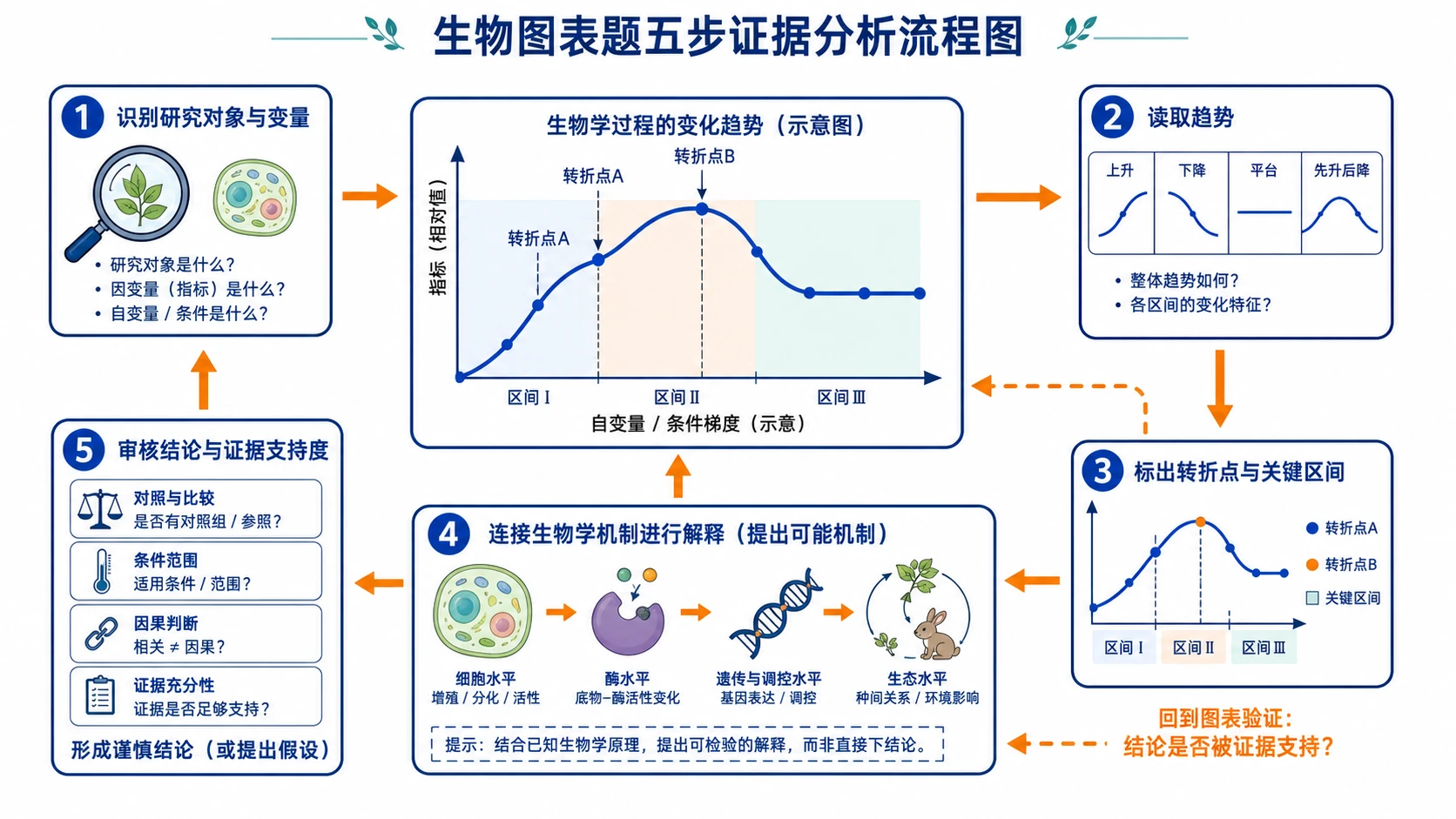 生物图表题五步证据分析